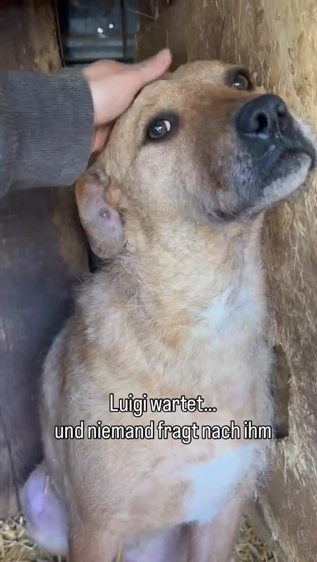 Post 7 by Anja Plötze on Instagram (video)