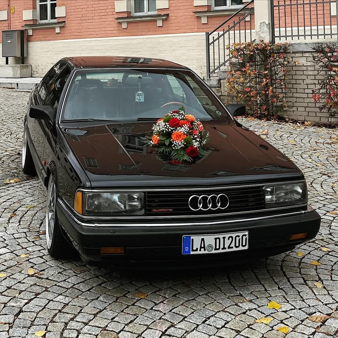 Post 9 by Thomas Der Schreiner on Instagram (image)