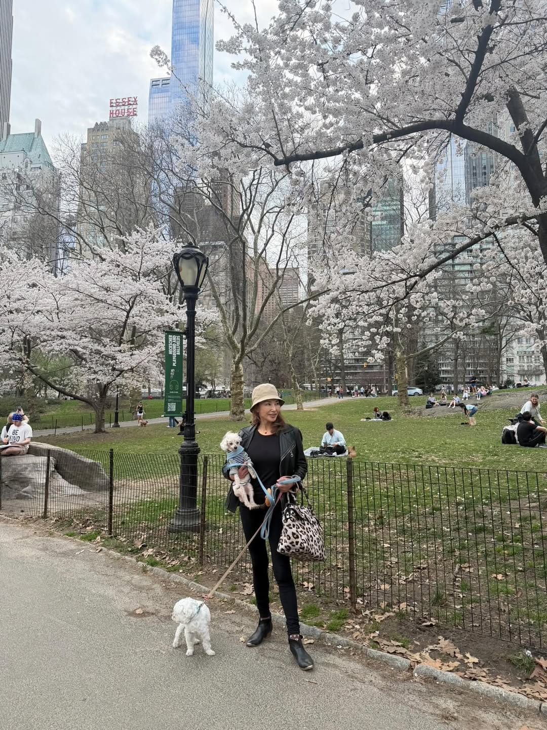 Post 8 by Keiko Ono Aoki on Instagram (image)
