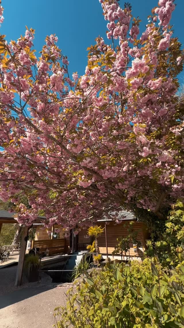Post 8 by Herons Lake Retreat on Instagram (video)