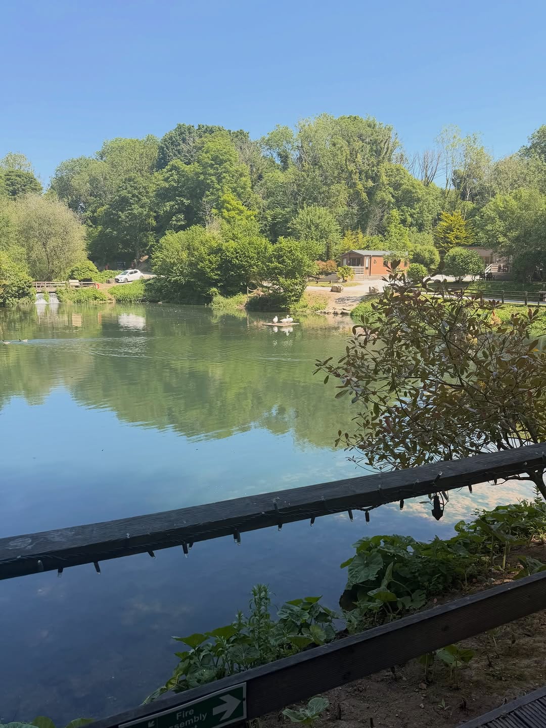 Post 5 by Herons Lake Retreat on Instagram (carousel)