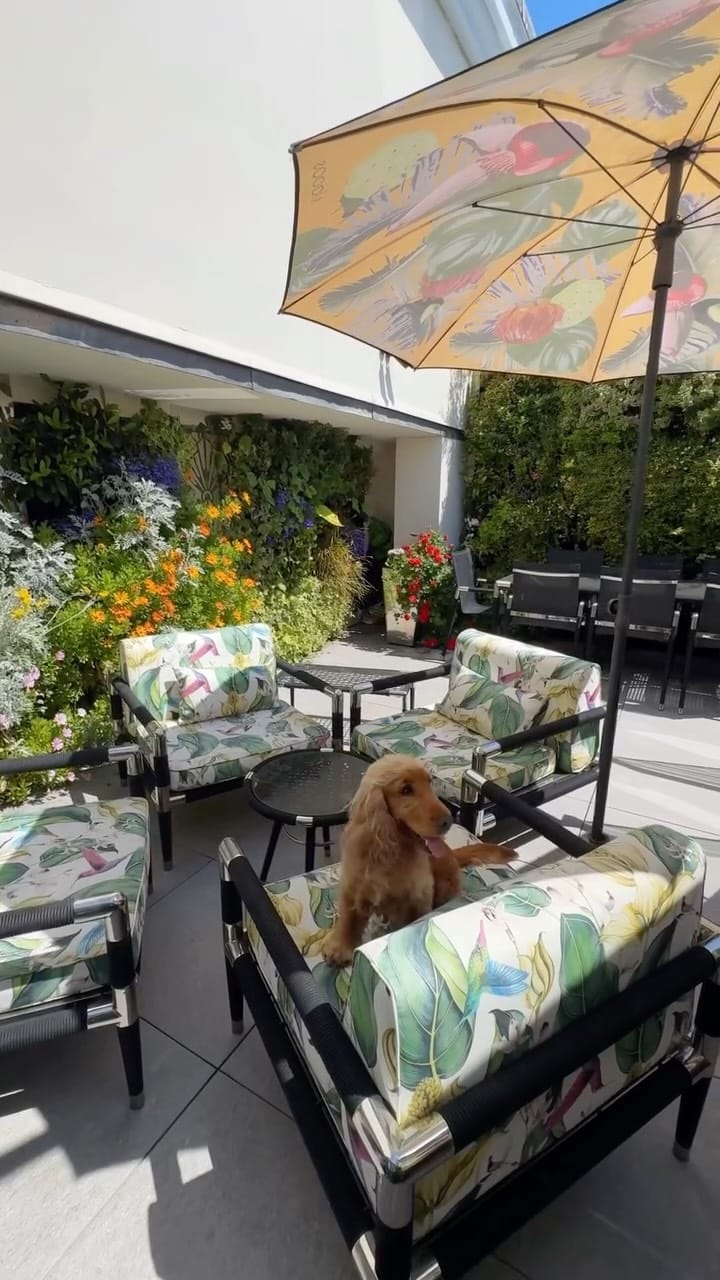 Post 2 by Anderson Rose Estate Agents on Instagram (video)