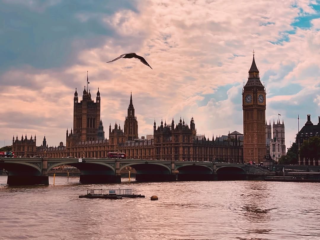 Post 10 by A𝓵𝓲𝓬𝓮’𝓼 N𝓮𝓼𝓽 L𝓸𝓷𝓭𝓸𝓷 on Instagram (image)