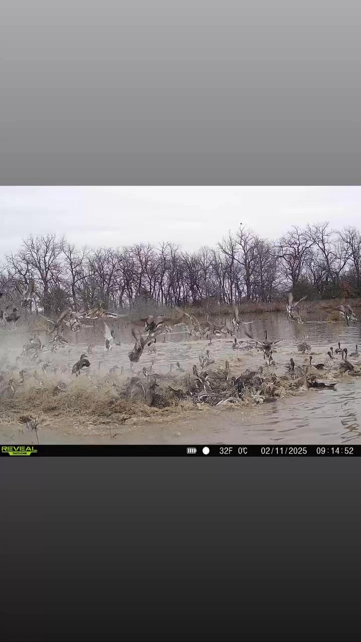 Post 4 by Legacy Land Team on Instagram (video)