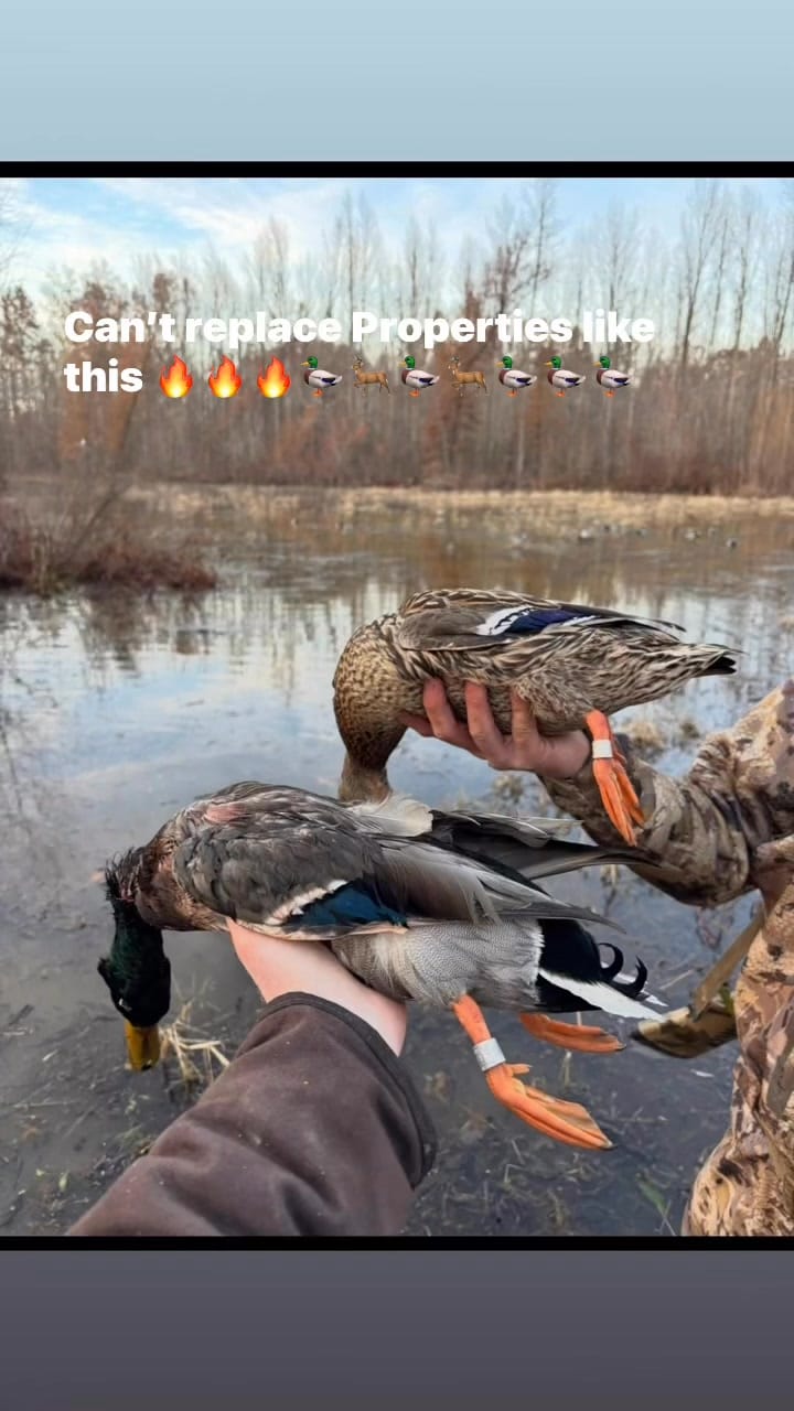 Post 1 by Legacy Land Team on Instagram (video)