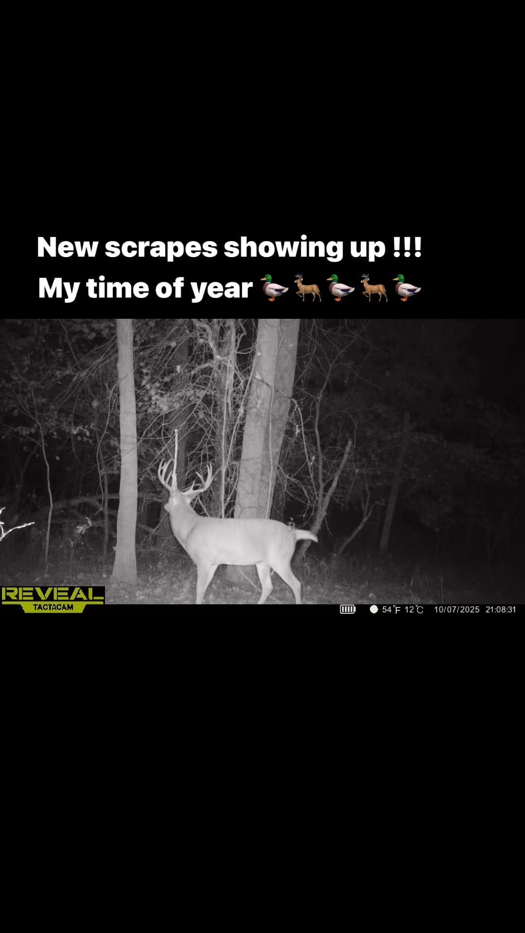Post 3 by Legacy Land Team on Instagram (video)