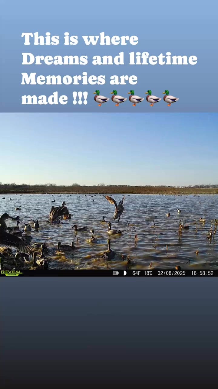 Post 6 by Legacy Land Team on Instagram (video)