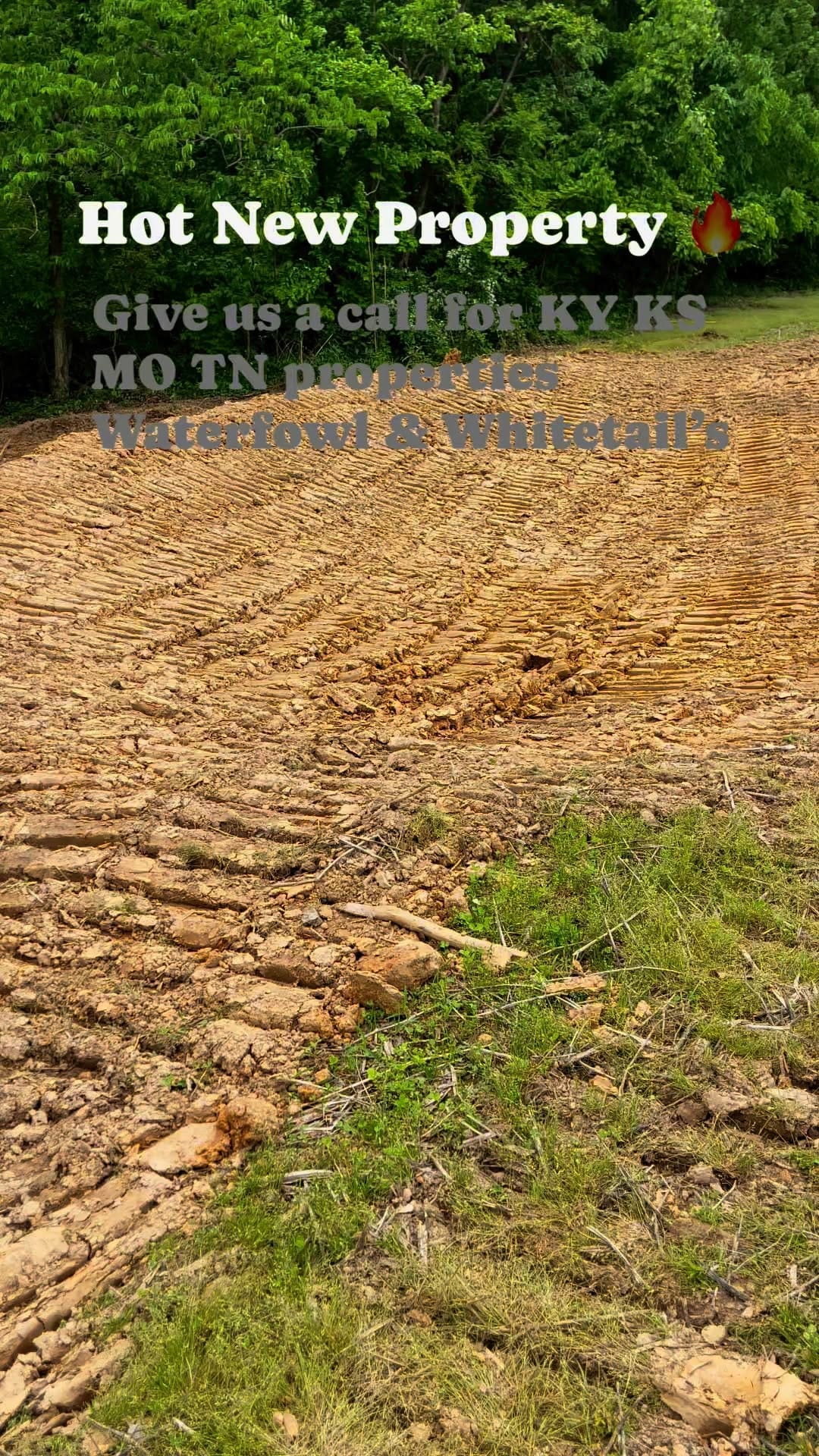 Post 9 by Legacy Land Team on Instagram (video)