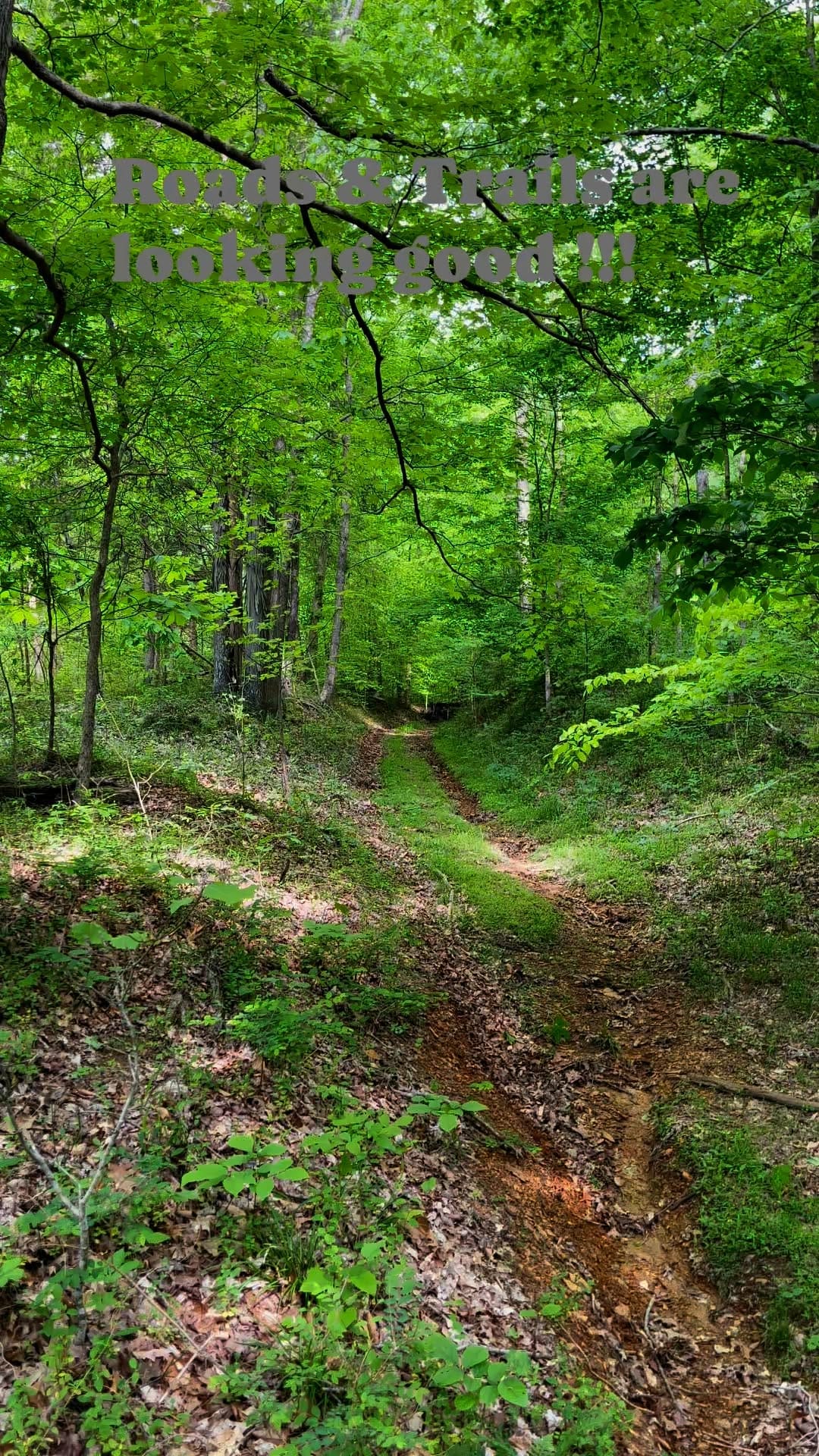 Post 8 by Legacy Land Team on Instagram (video)