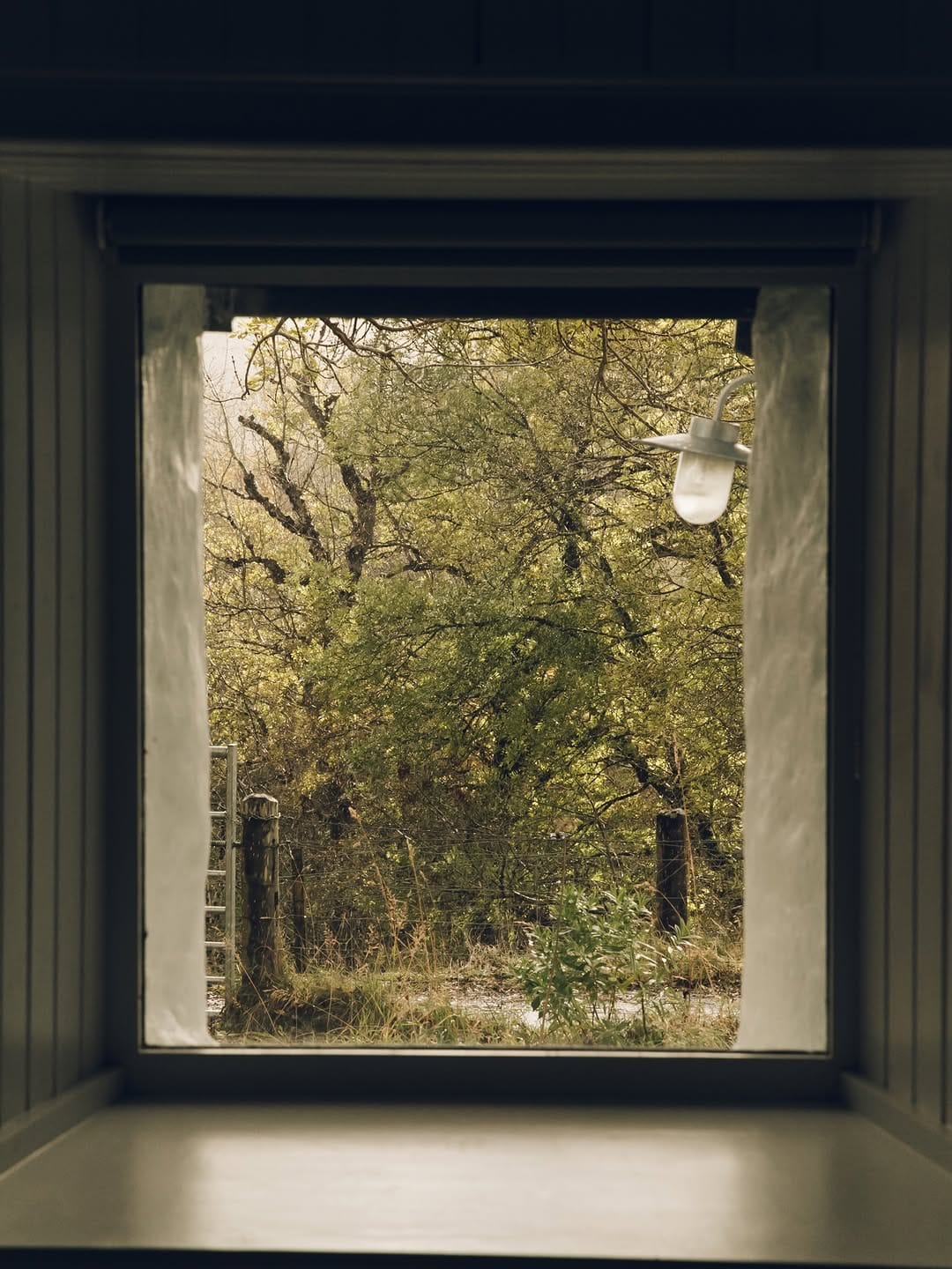 Post 10 by The Crofter's House on Instagram (image)