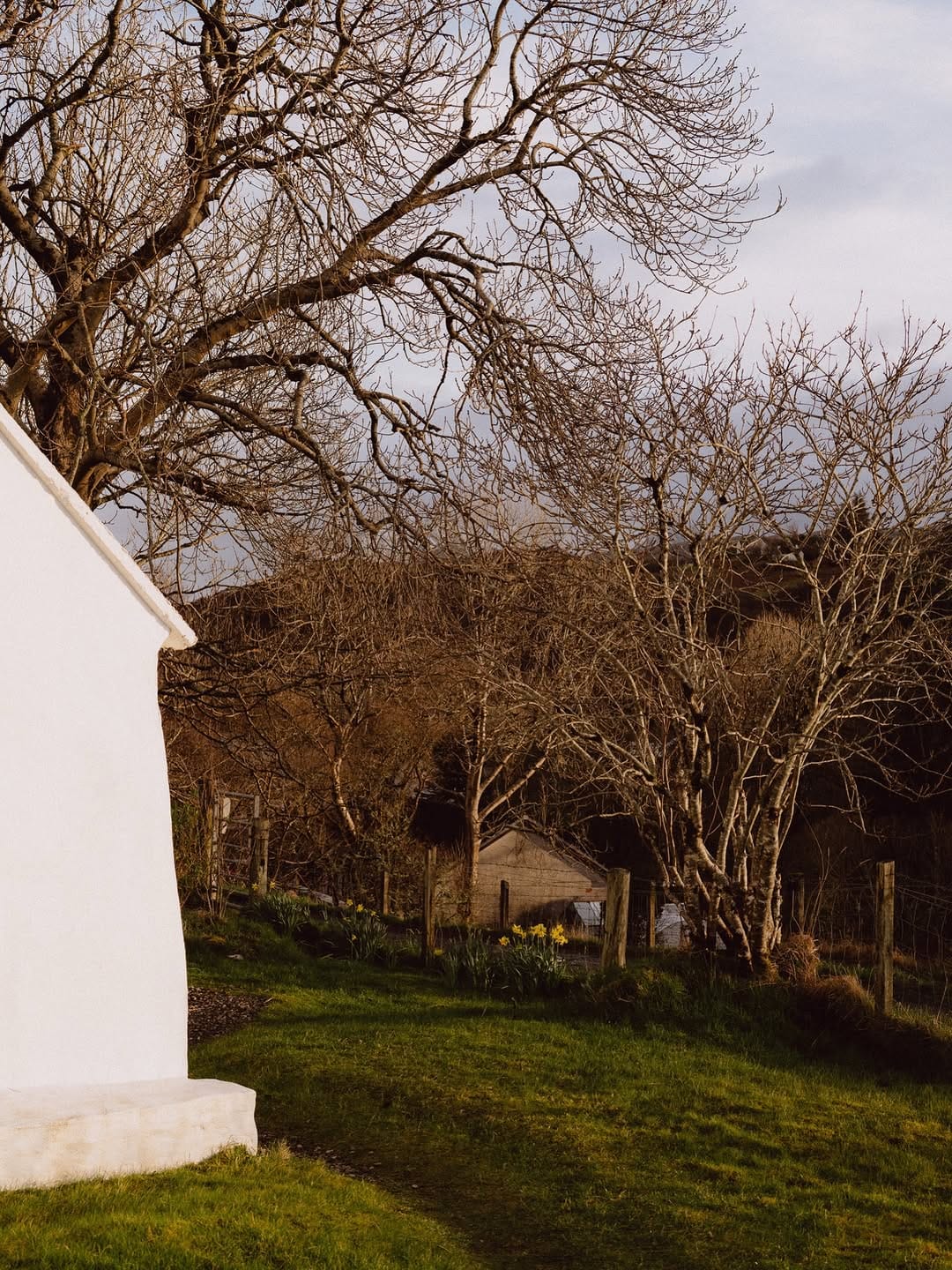 Post 4 by The Crofter's House on Instagram (image)