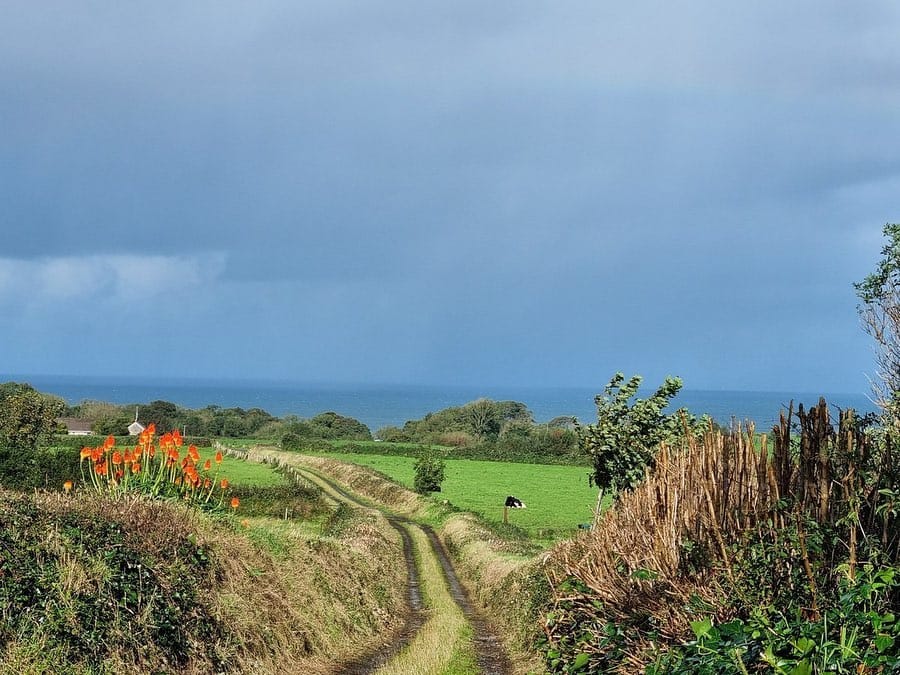 Post 9 by Reloved Irish Houses on Instagram (carousel)