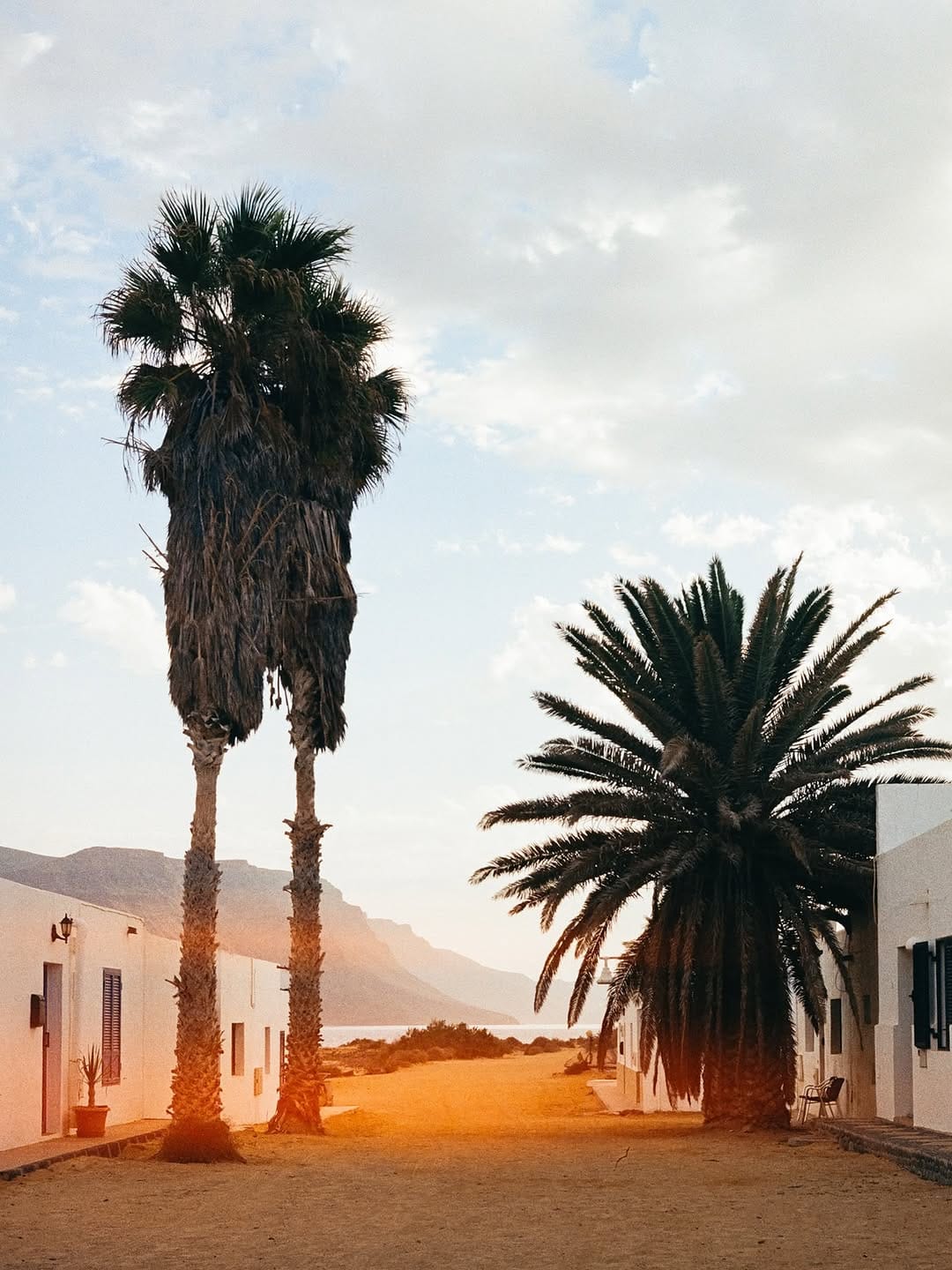 Post 7 by Dani Haupt • Wedding Photographer Vienna, Italy, Spain on Instagram (carousel)