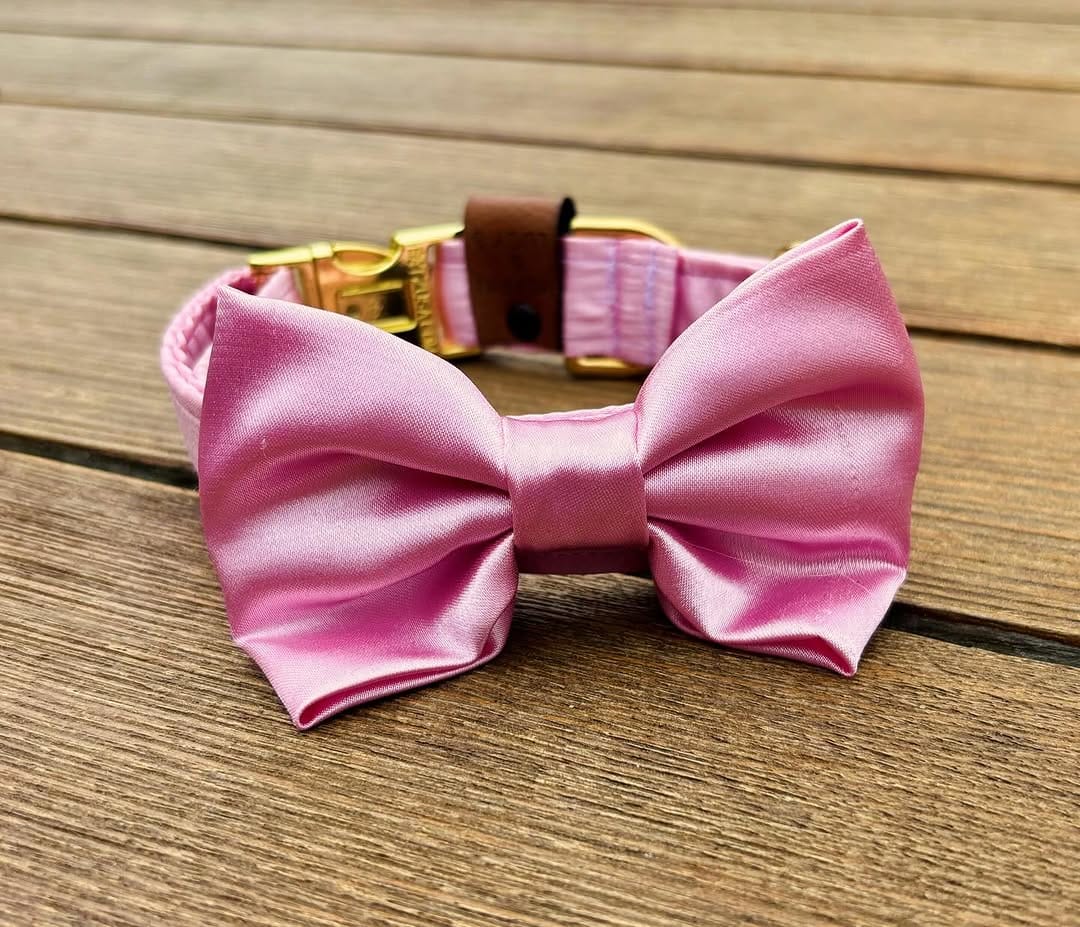 Post 3 by Muffin & Lucy's🔸Dog essentials on Instagram (carousel)