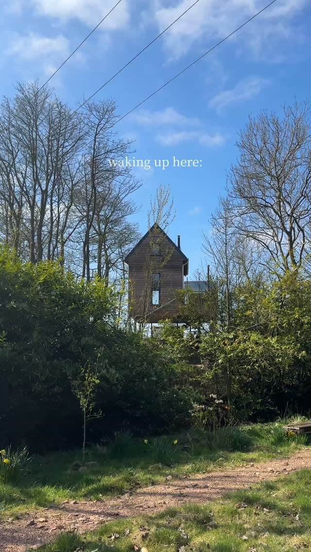 Post 5 by Madeira Holiday Cottages on Instagram (video)