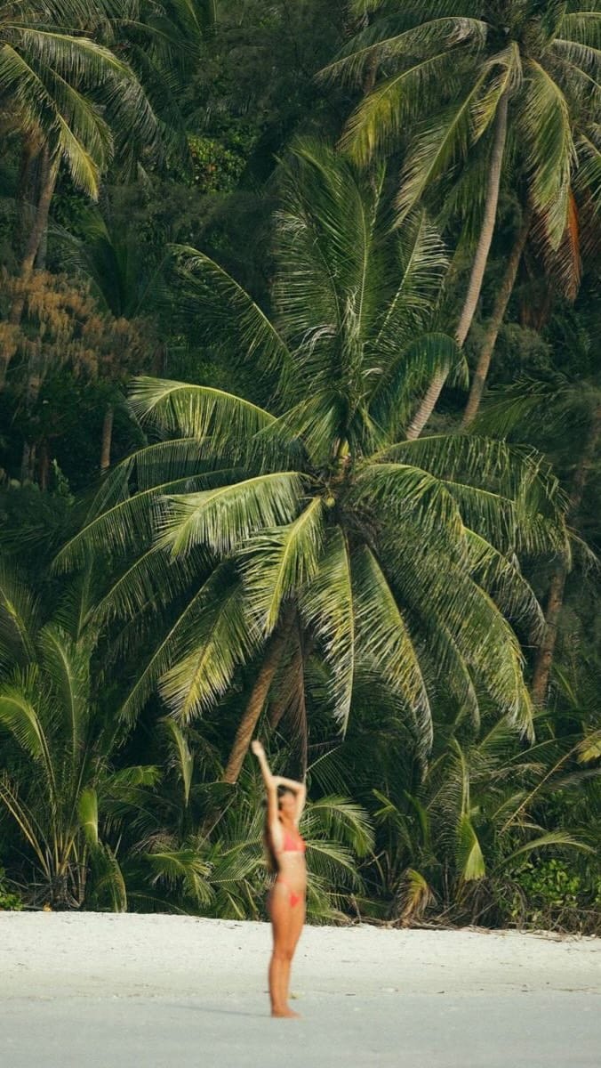Post 5 by Miyana Afgy on Instagram (video)
