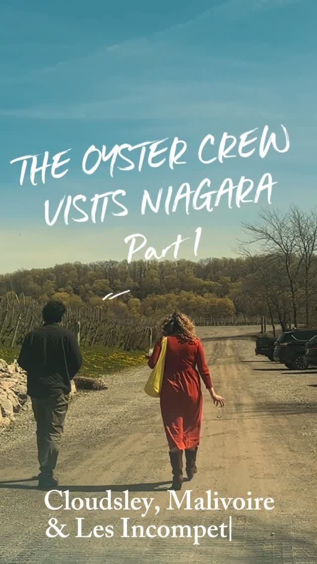 Post 7 by Rodney's Oyster House on Instagram (video)