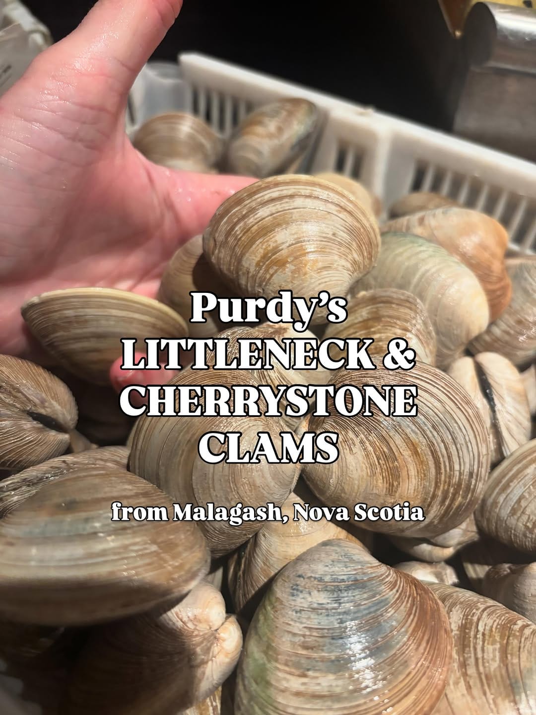 Post 1 by Rodney's Oyster House on Instagram (carousel)