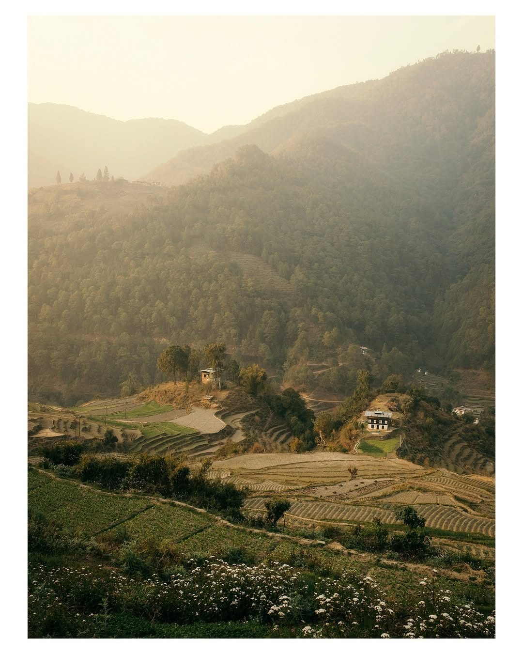 Post 5 by Nils Leonhardt on Instagram (image)
