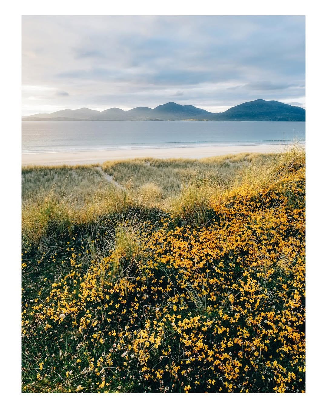 Post 8 by Nils Leonhardt on Instagram (image)