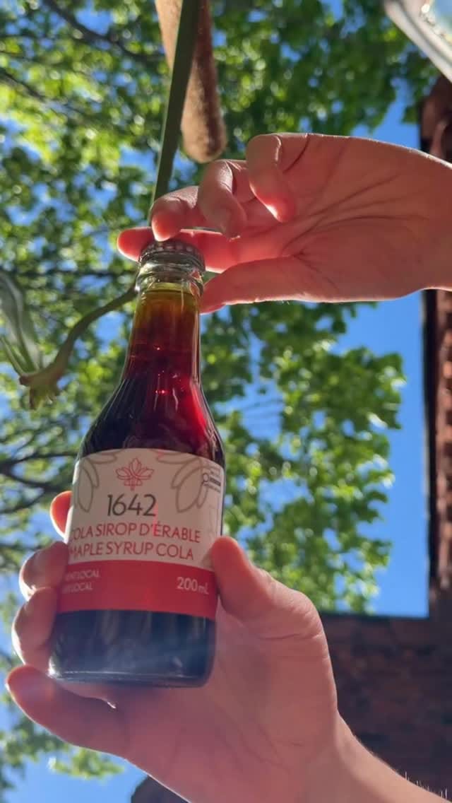 Post 4 by 1642 on Instagram (video)