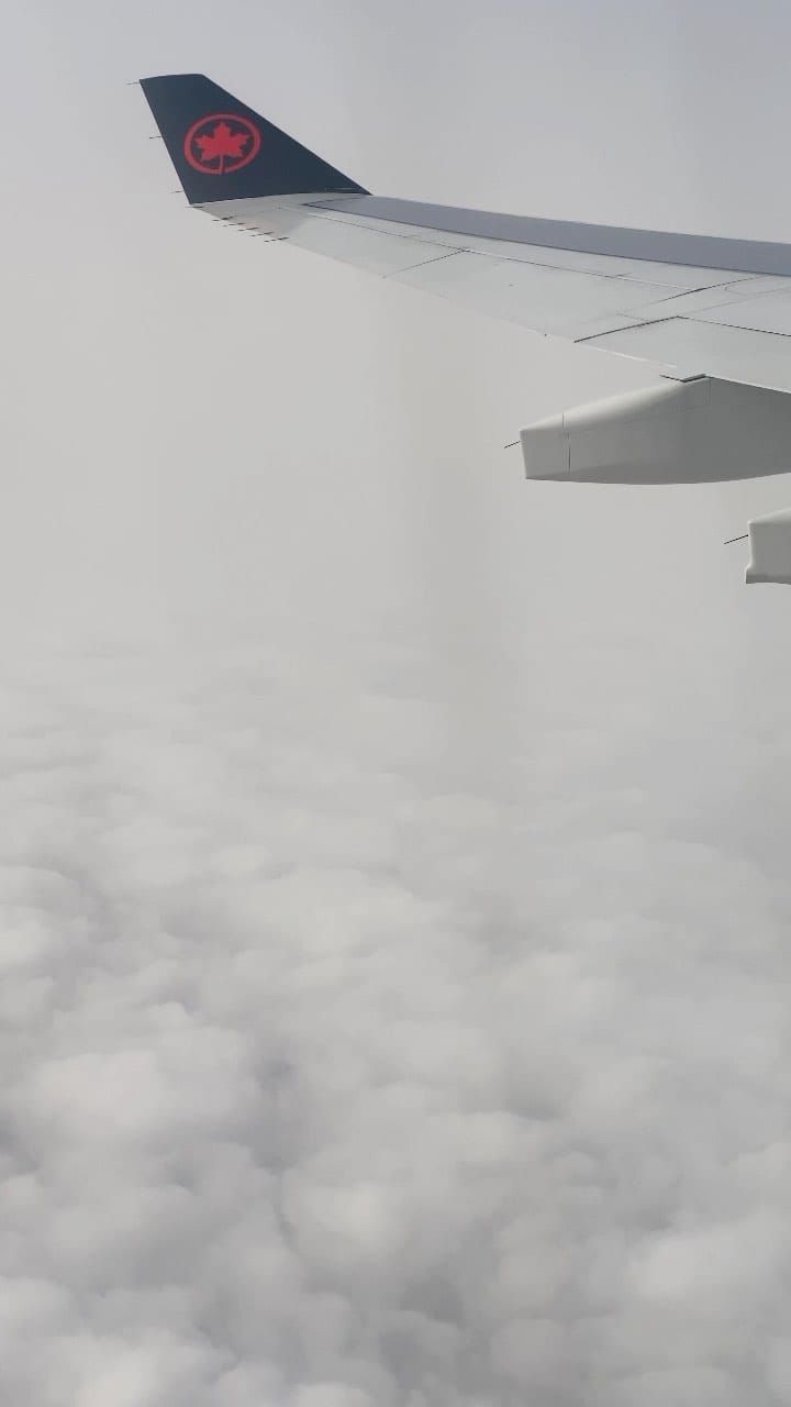 Post 4 by adnane kamil on Instagram (video)