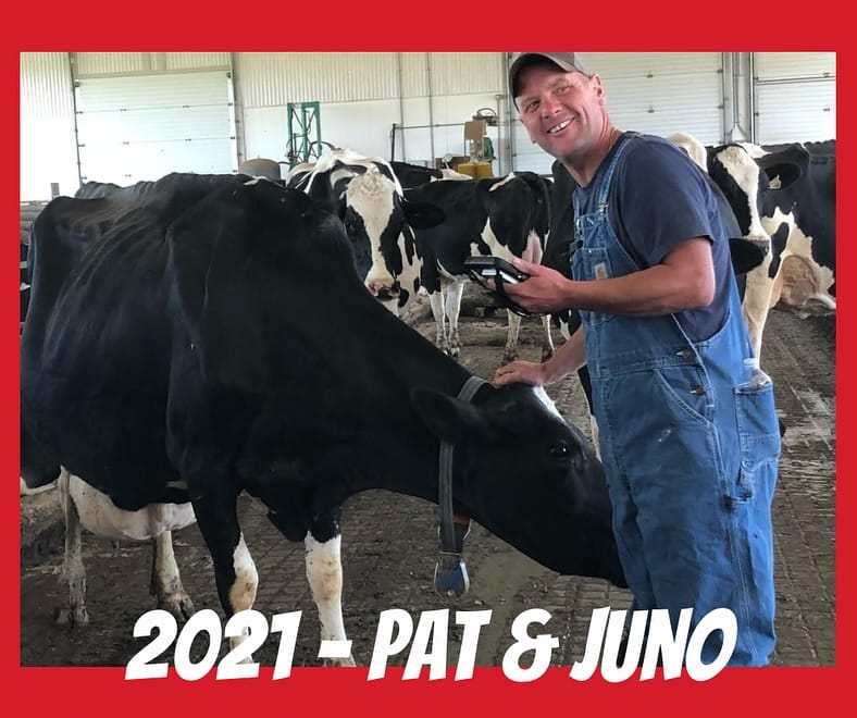 Post 10 by Mistyglen Holsteins on Instagram (carousel)