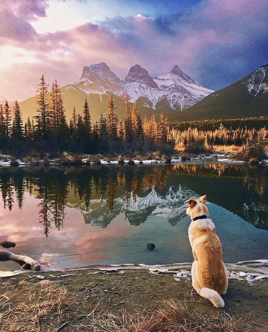 Post 7 by Inspiring Canada on Instagram (image)