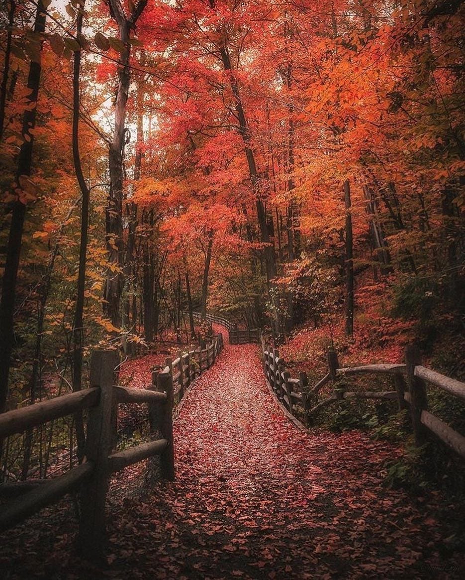 Post 9 by Inspiring Canada on Instagram (image)