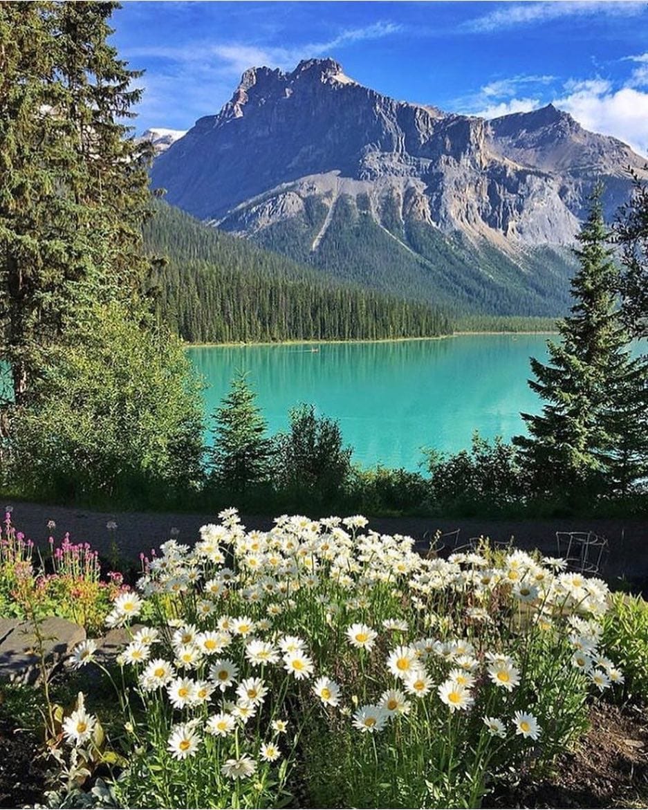 Post 4 by Inspiring Canada on Instagram (image)