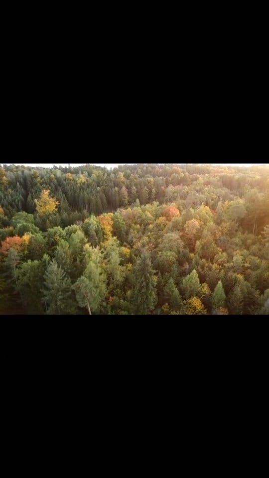 Post 3 by Eugen on Instagram (video)