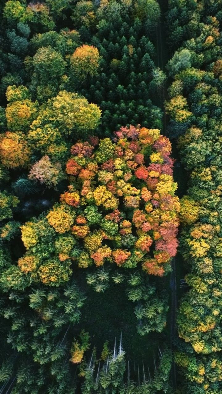 Post 8 by Eugen on Instagram (video)