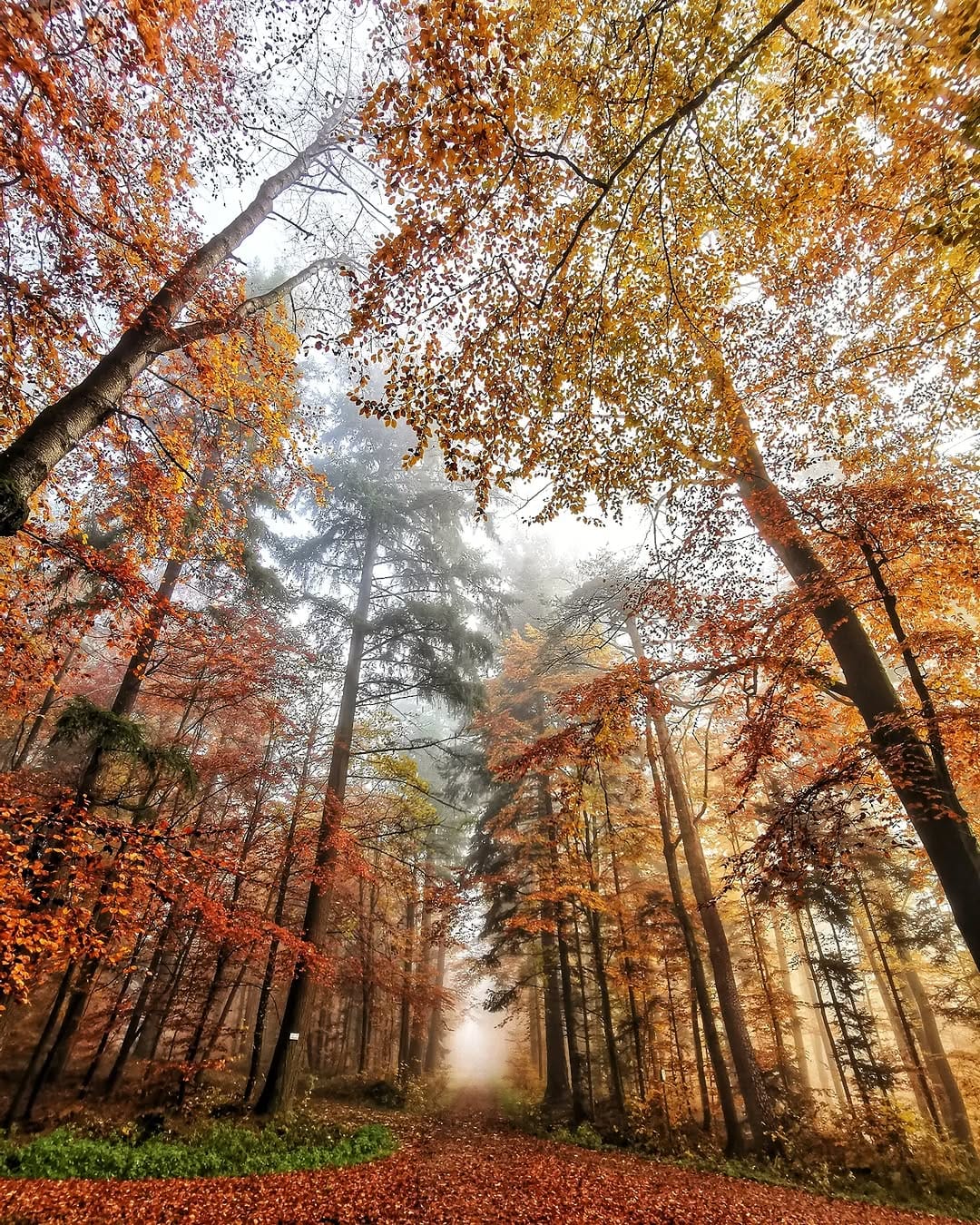 Post 7 by Eugen on Instagram (image)