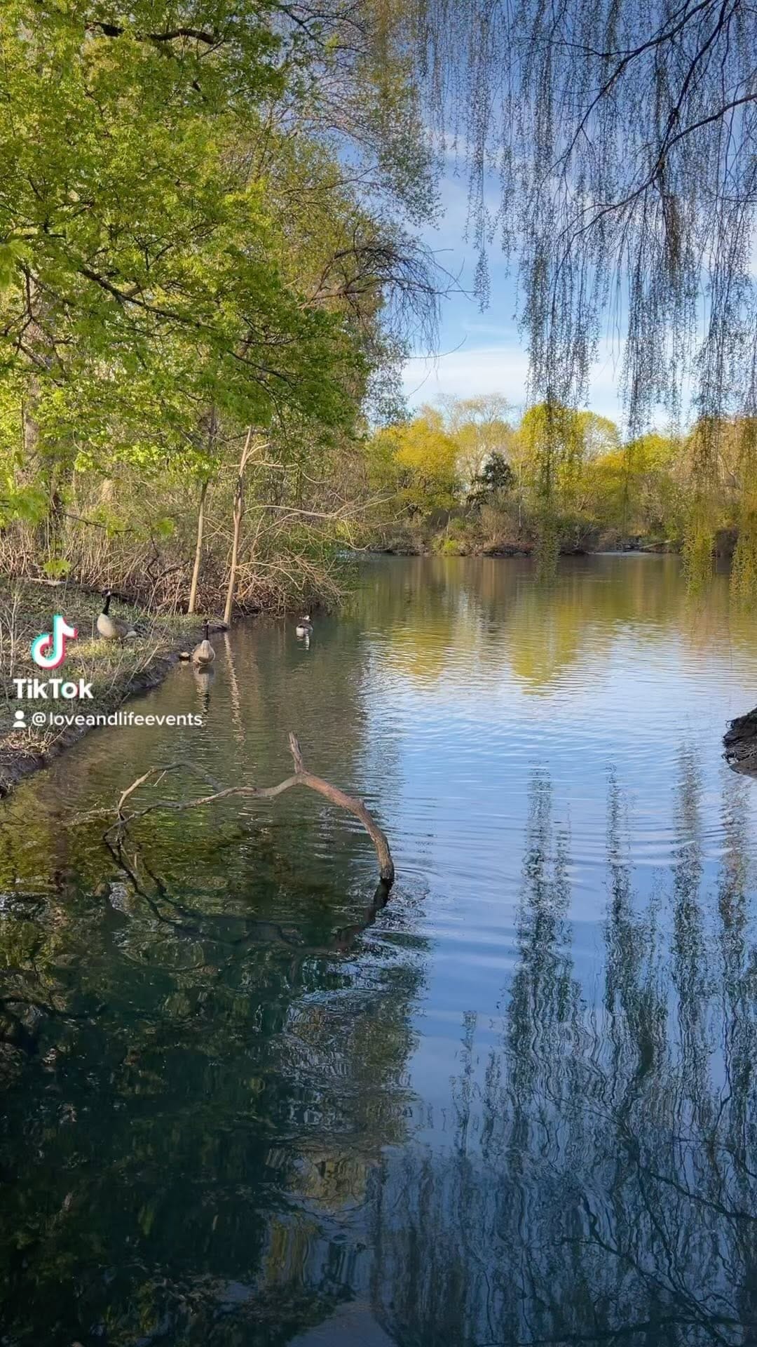 Post 9 by Love&LifeEvents on Instagram (video)
