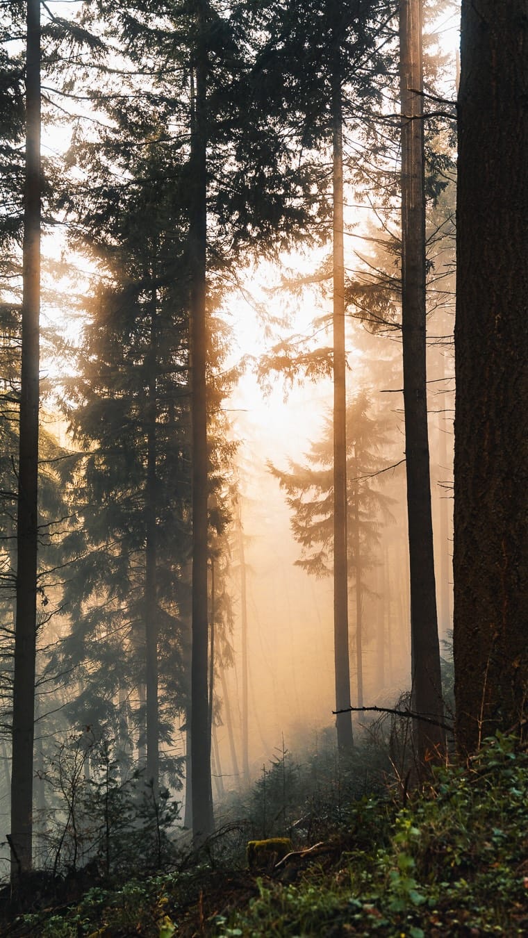Post 4 by Philipp Steiger ↟ Travel & Adventure on Instagram (video)