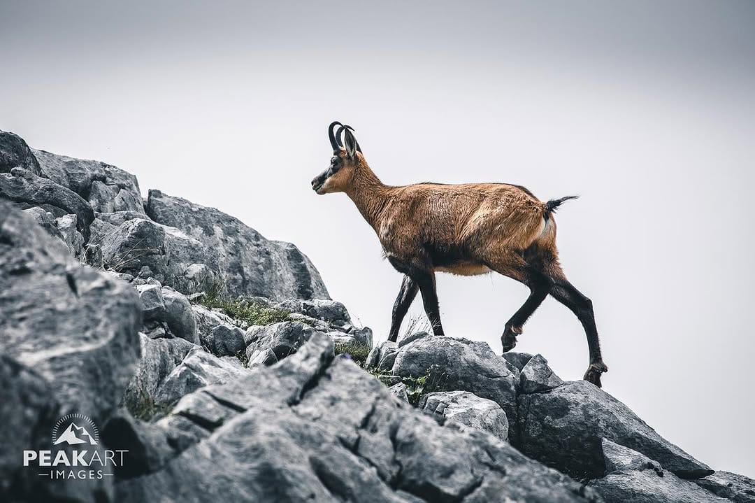 Post 9 by Stefan Schaaf 📸 on Instagram (image)