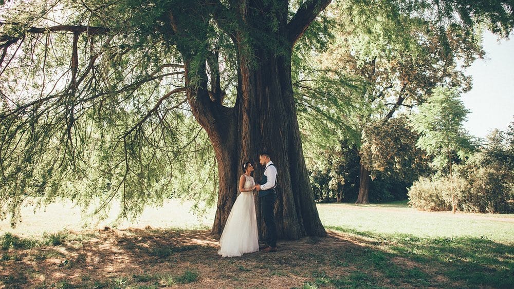Post 6 by Hochzeitsfotograf on Instagram (image)