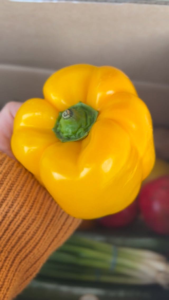 Post 7 by THE PRODUCE GUYZ🍓| Save Up to 40% on Instagram (video)