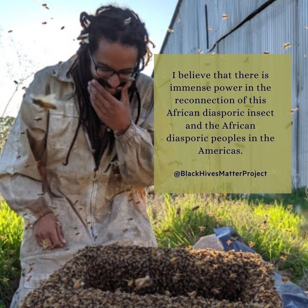 Post 1 by Green Bee Honey on Instagram (image)