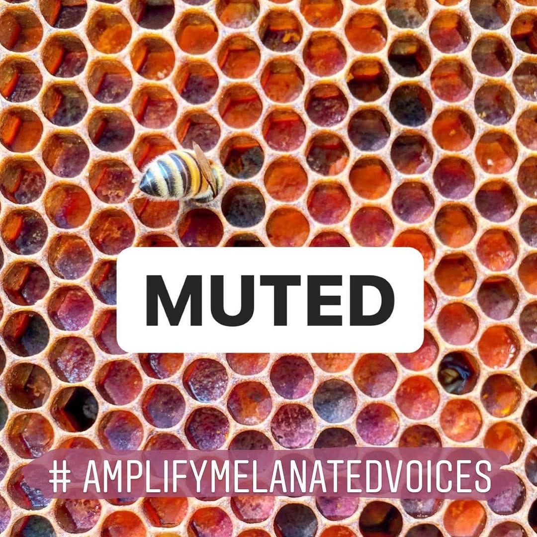 Post 9 by Green Bee Honey on Instagram (image)