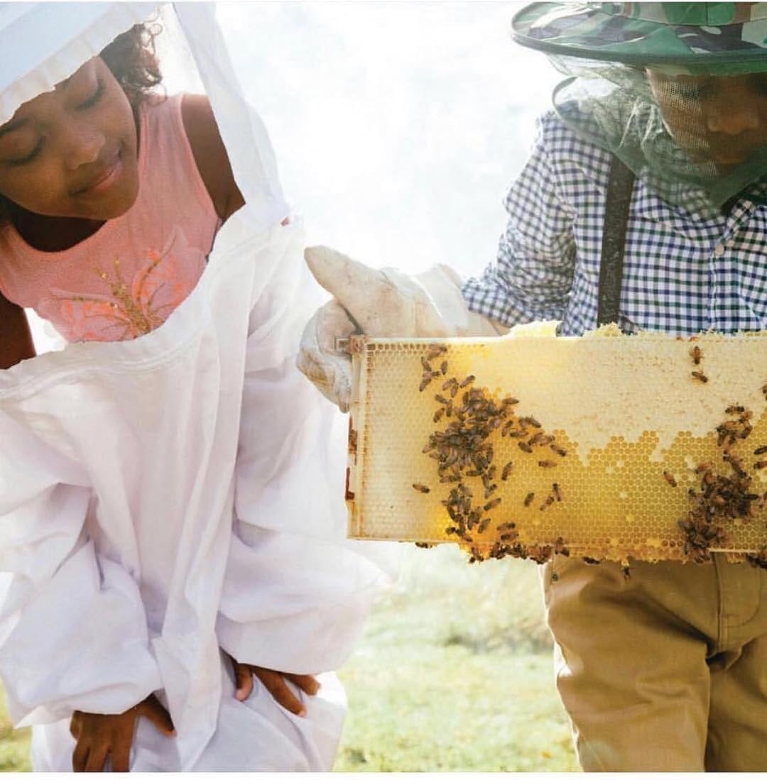 Post 6 by Green Bee Honey on Instagram (image)