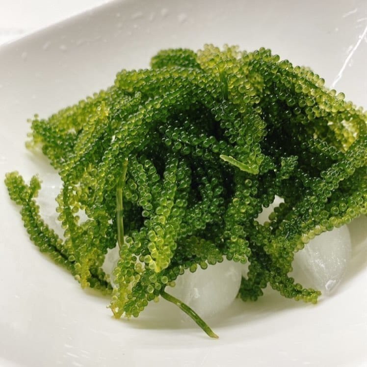 Post 4 by DT Green Caviar on Instagram (image)