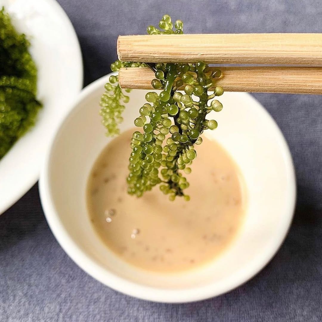 Post 5 by DT Green Caviar on Instagram (image)