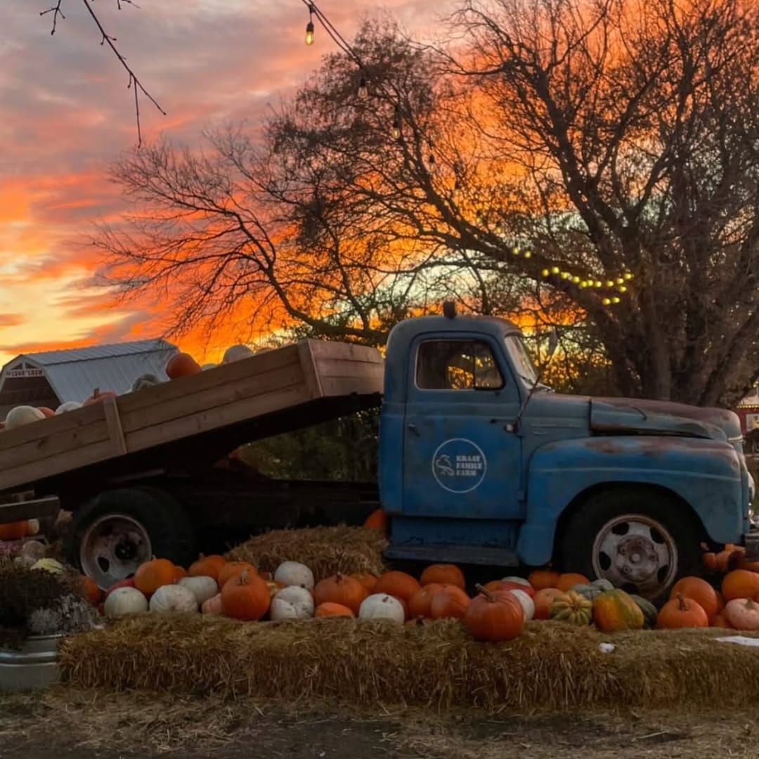 Post 7 by Kraay Family Farm on Instagram (image)
