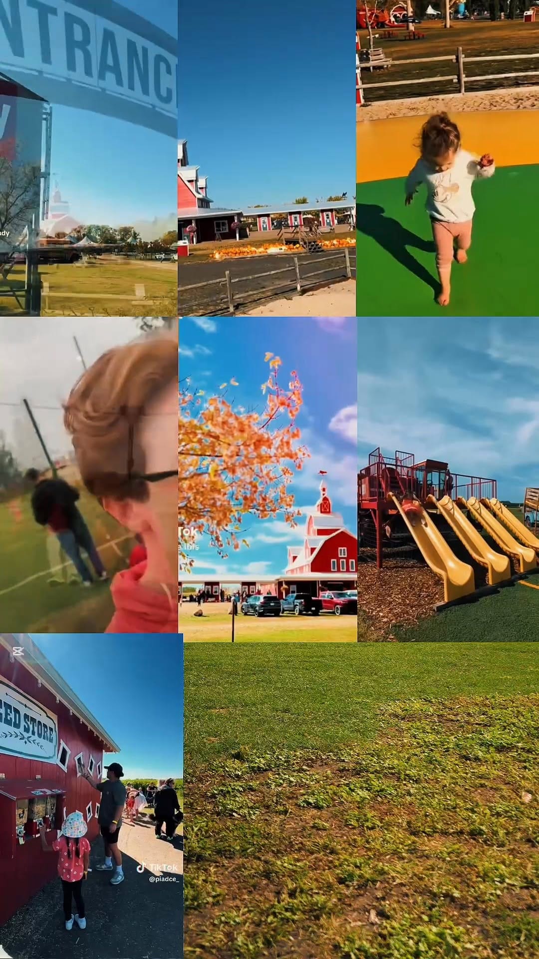 Post 1 by Kraay Family Farm on Instagram (video)