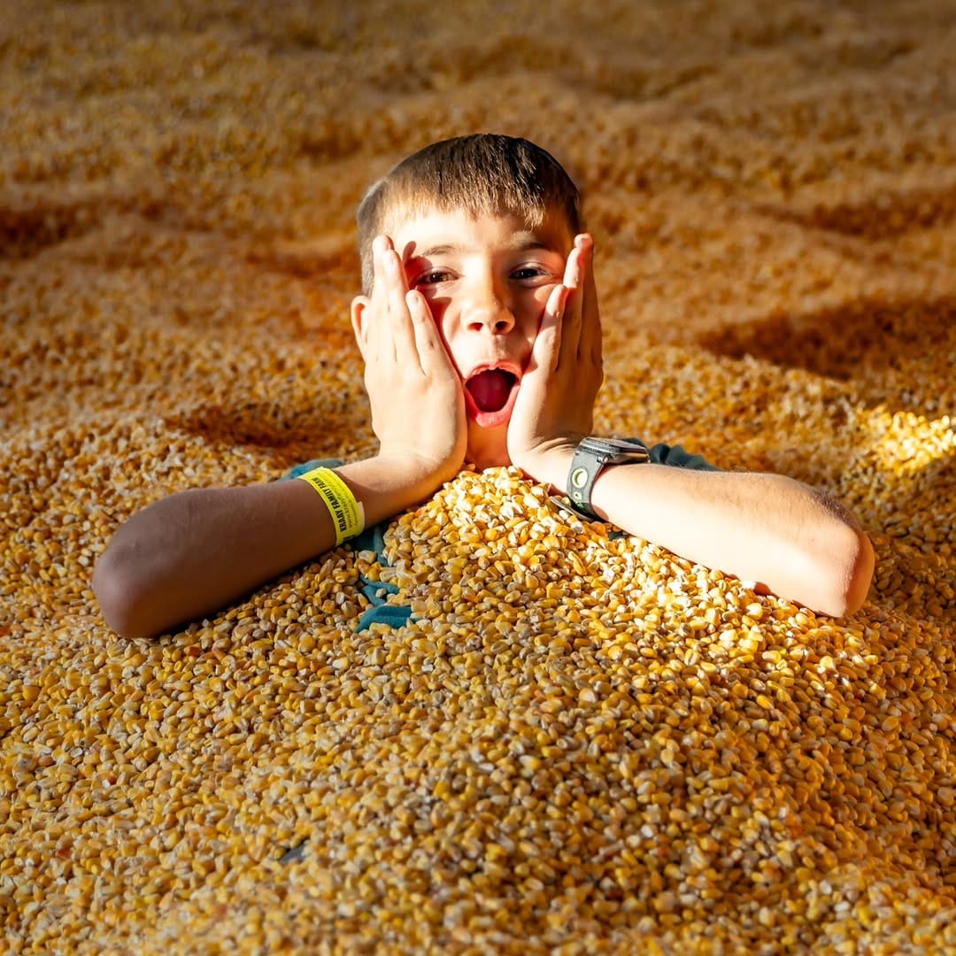 Post 9 by Kraay Family Farm on Instagram (image)