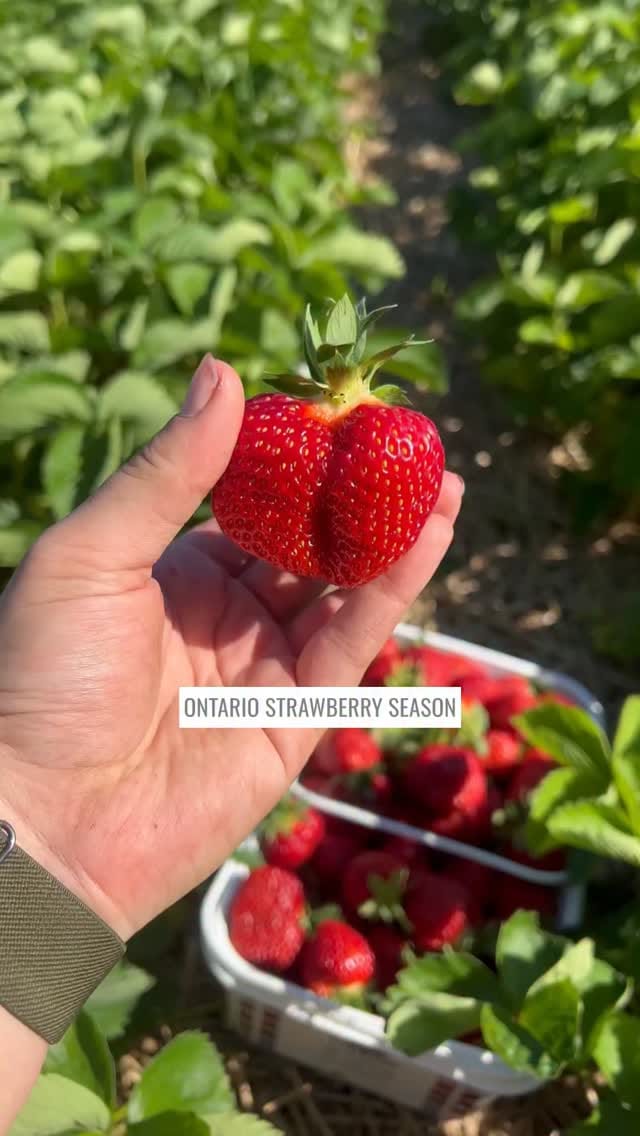 Post 4 by Robintide Farms on Instagram (video)