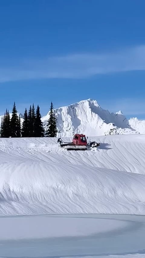 Post 8 by PACRIM Distributors on Instagram (video)