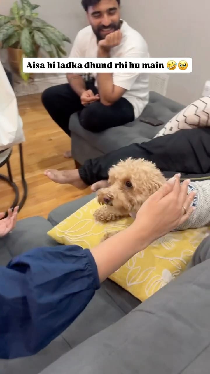 Post 7 by Delhi Foods And Co. 🇨🇦 on Instagram (video)