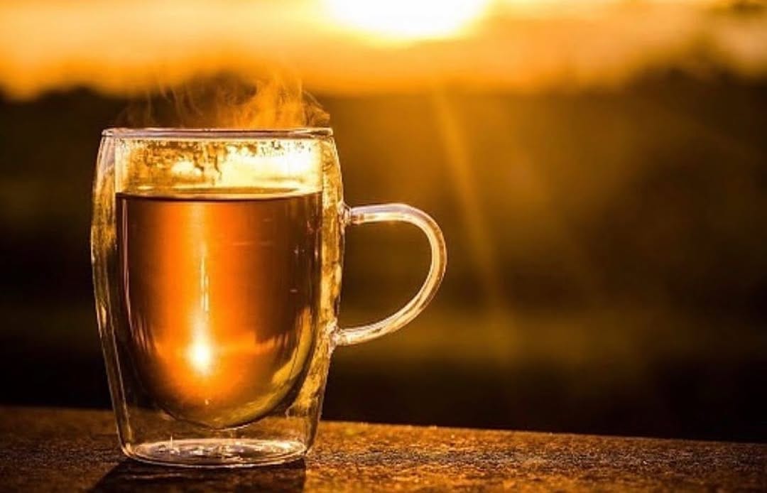 Post 7 by Lion’s Mane Tea on Instagram (image)